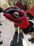 Einsatz Nr. 114 Hilfe K Tierrettung