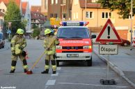 Einsatz Nr. 239 Hilfe 0 Ölspur